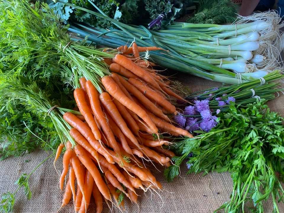 Carrots, scallions, chives
