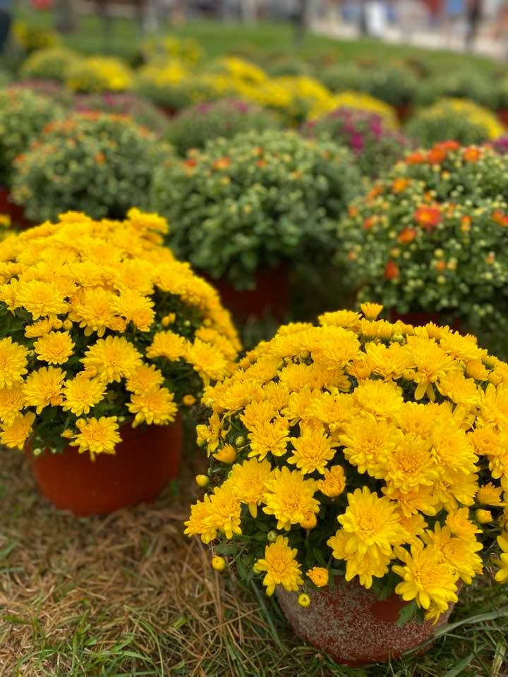 Burlington County Farmers Market: