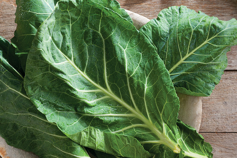 Collards: Fresh Greens