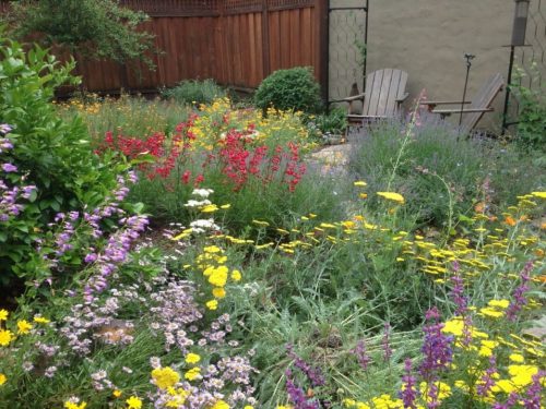 Lawn Alternatives: Session two