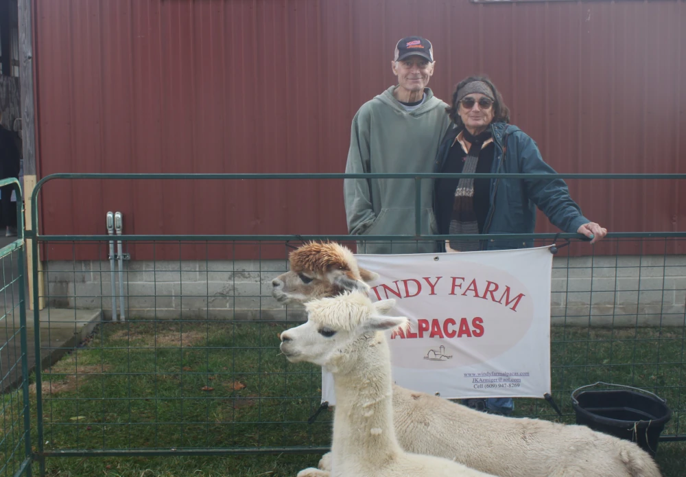 Windy Farm Alpacas