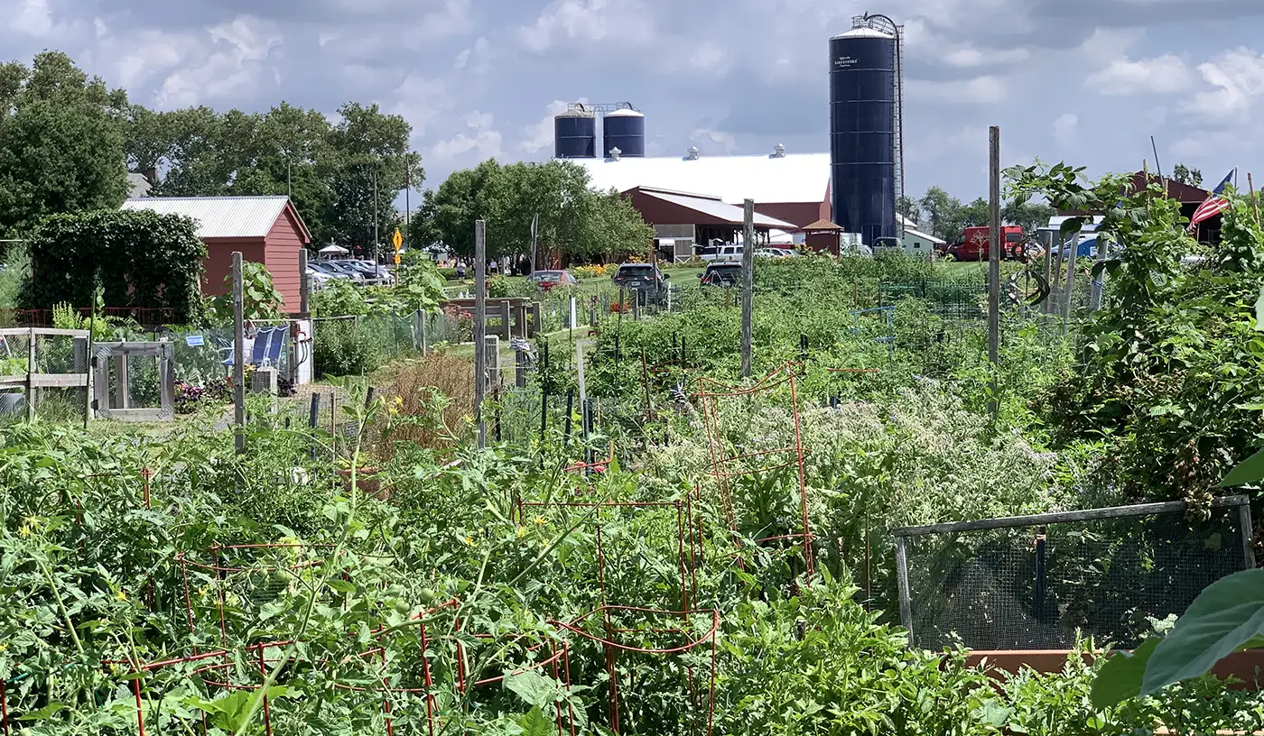 Community Gardens