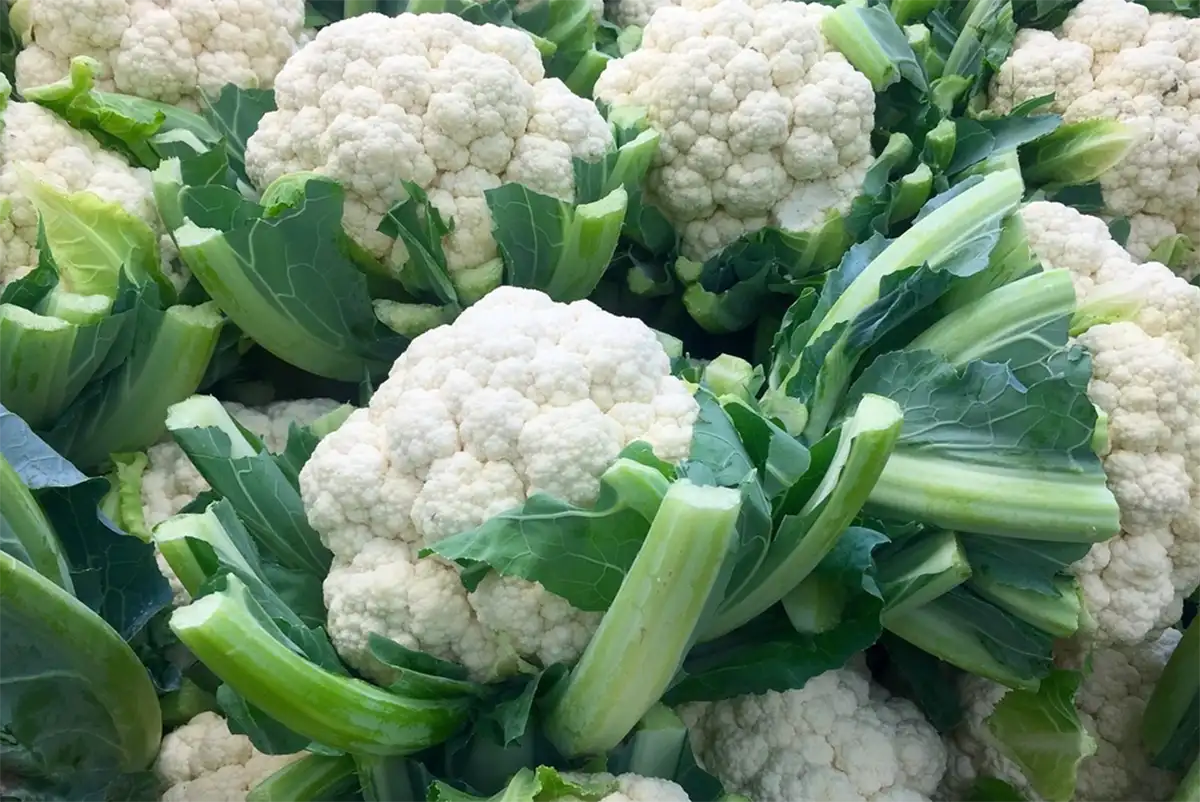 The Cauliflower