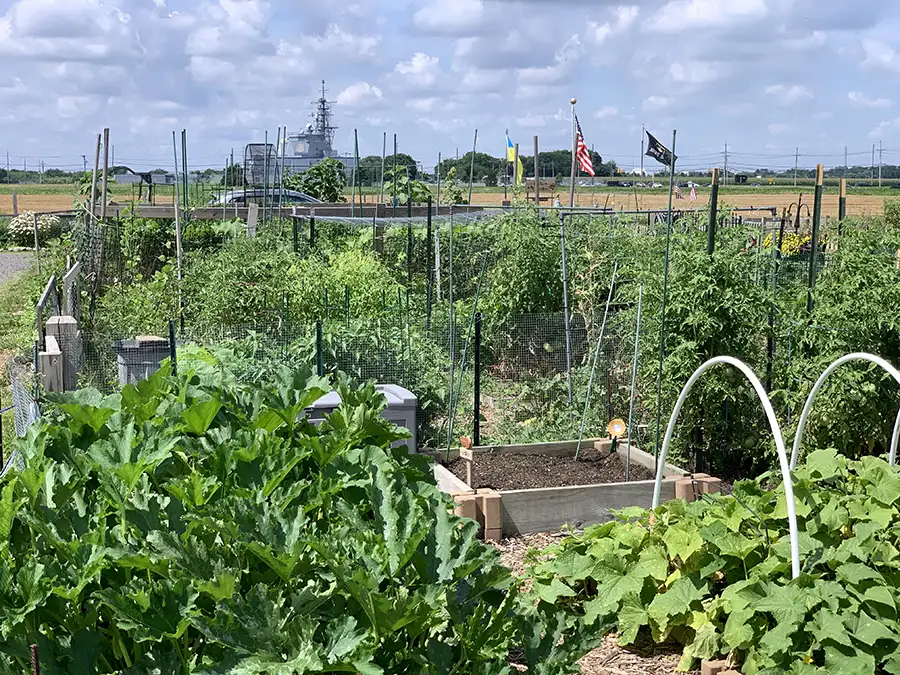 garden plots at ag center