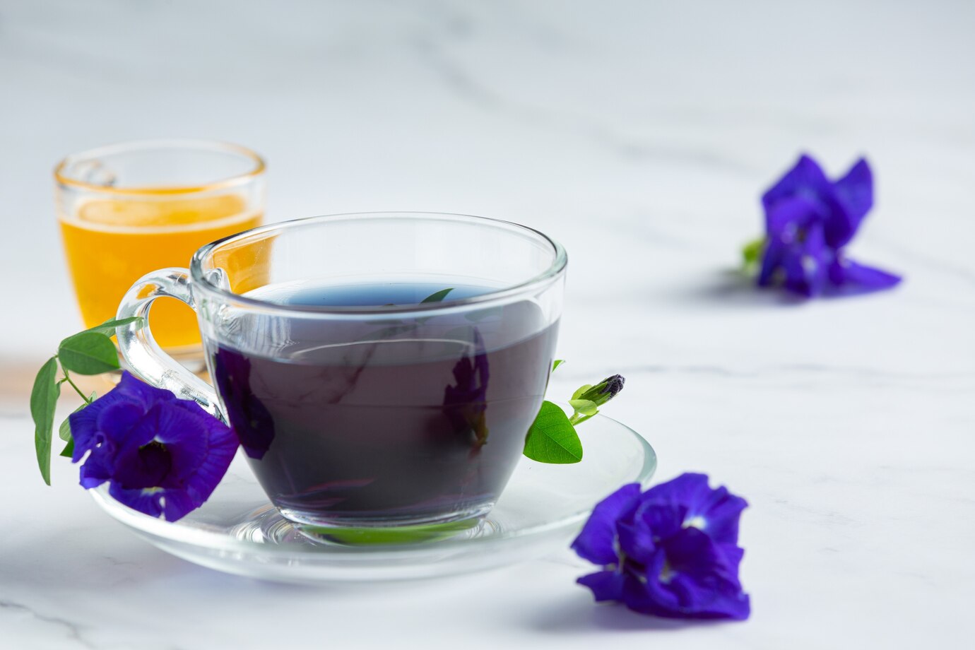 blue tea in a glass cup and gentian blue butterfly pea flowers scattered on the table