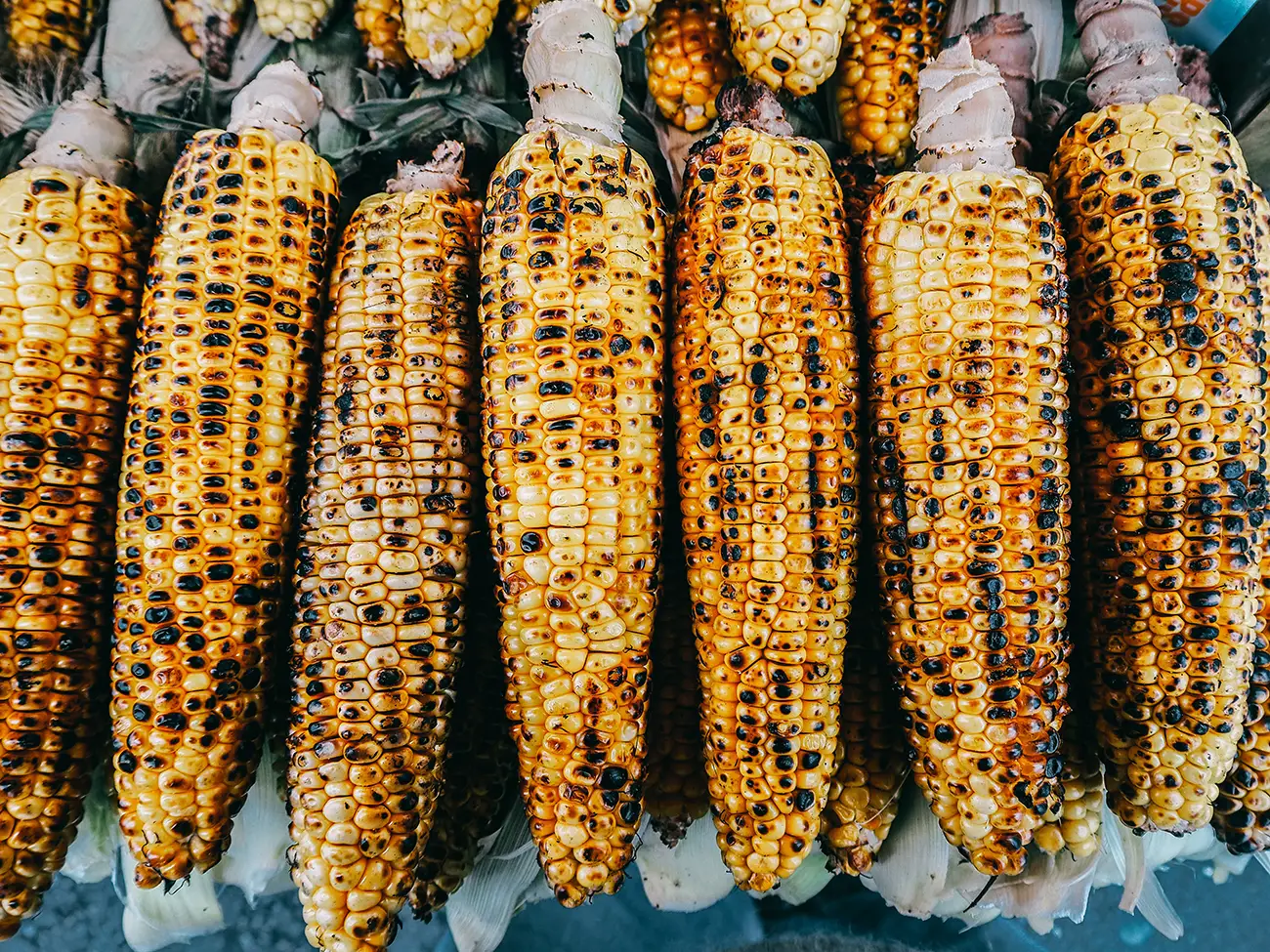 grilled corn on the cob