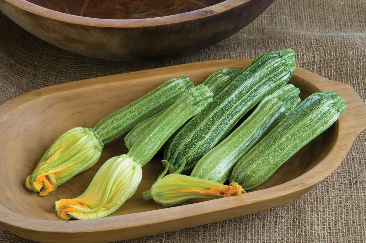 Zucchini