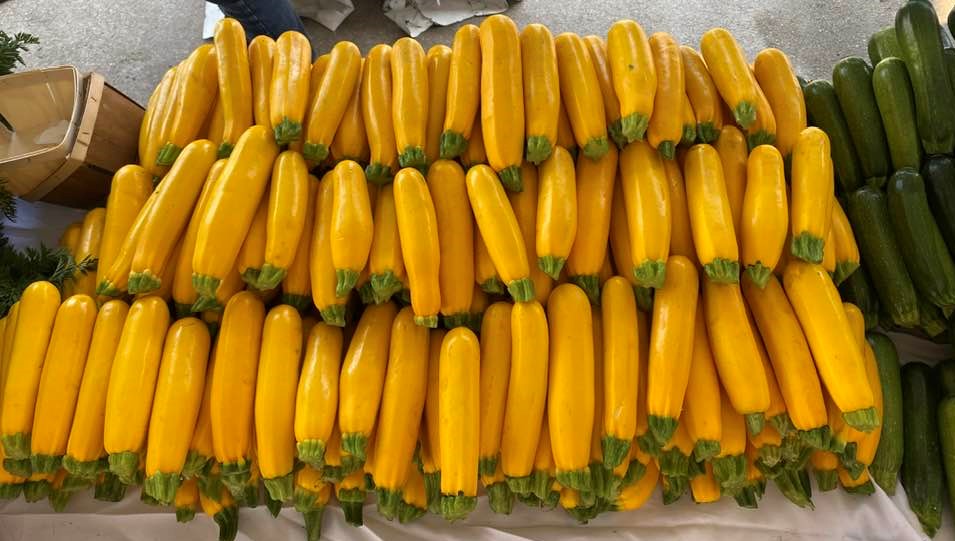 Table of summer squash