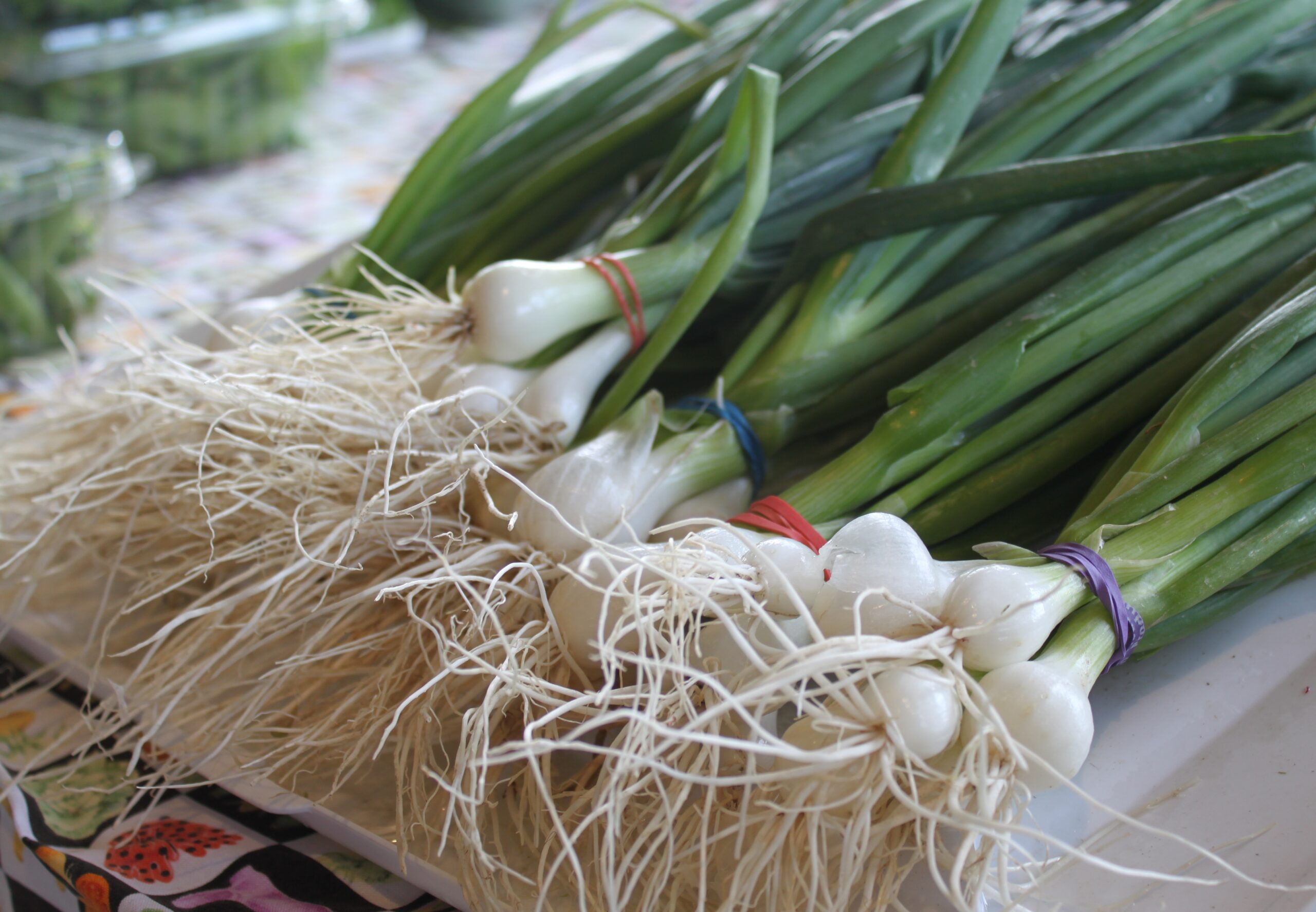 Green Onions