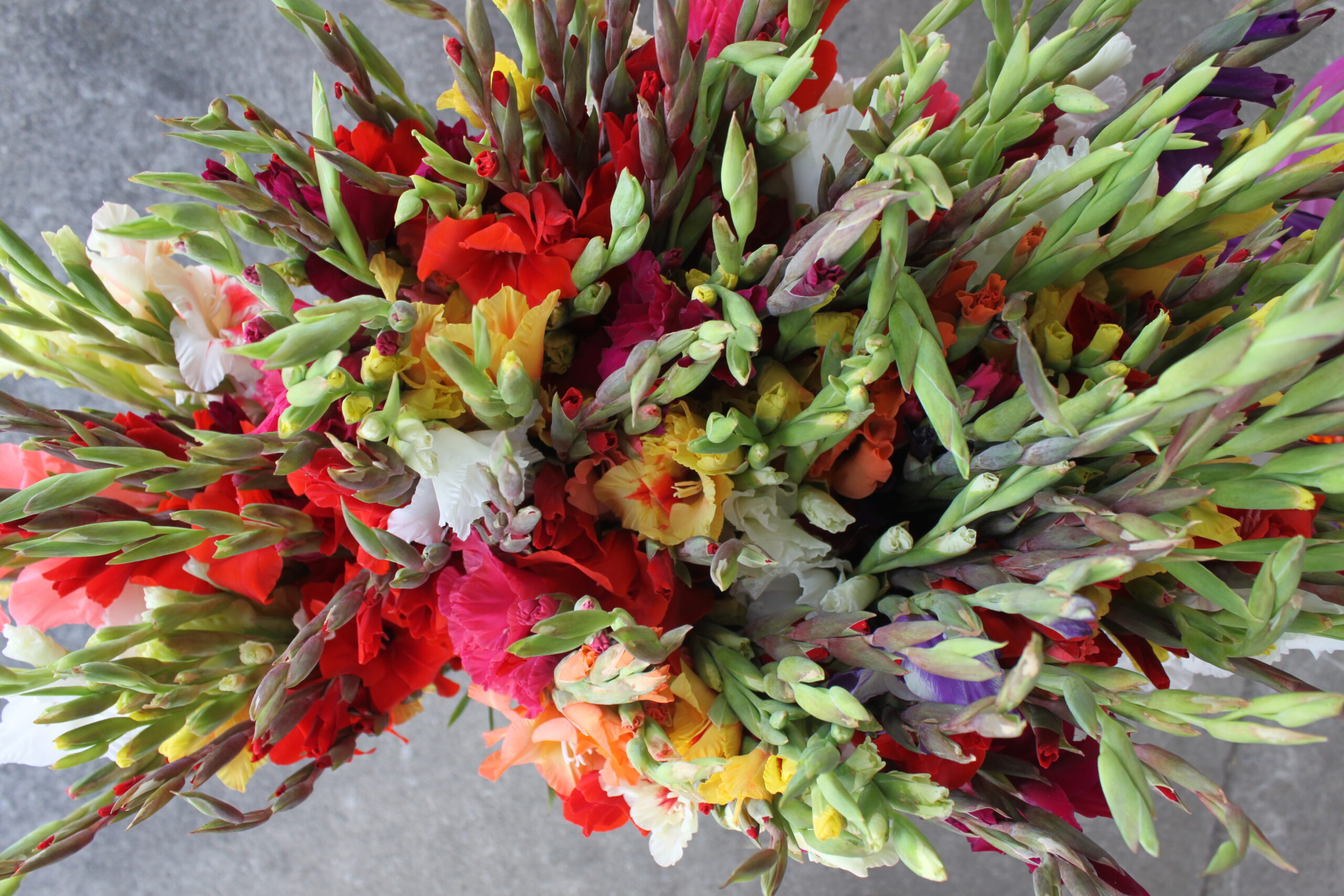 Flowers at the market