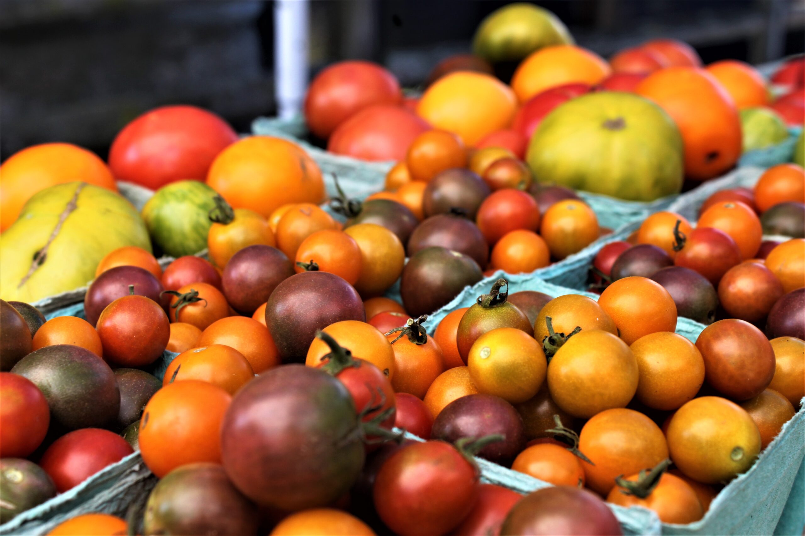 Cherry Tomatoes at the market