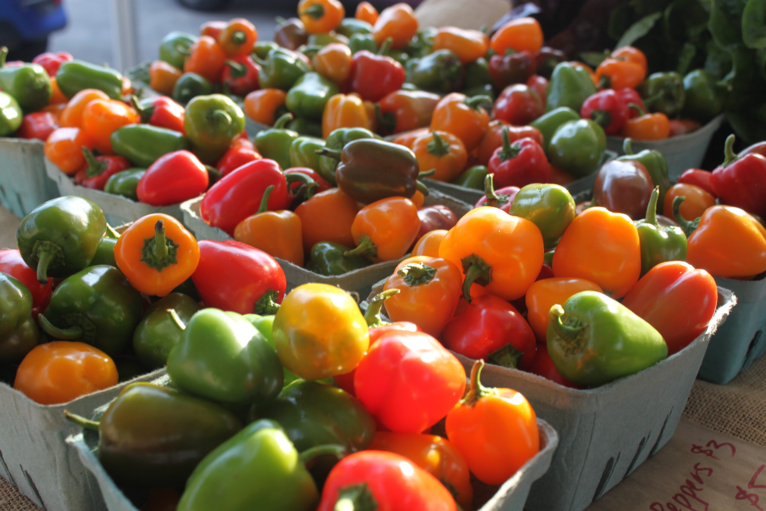 Multicolored Peppers