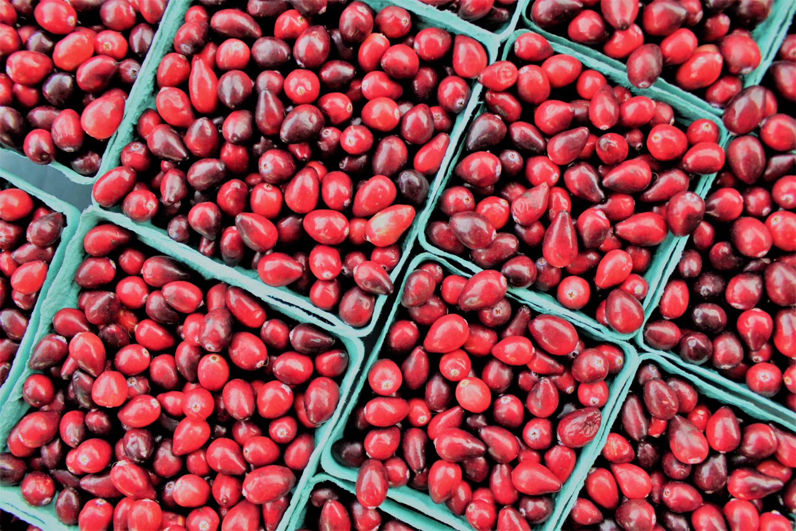 Cranberries at the market