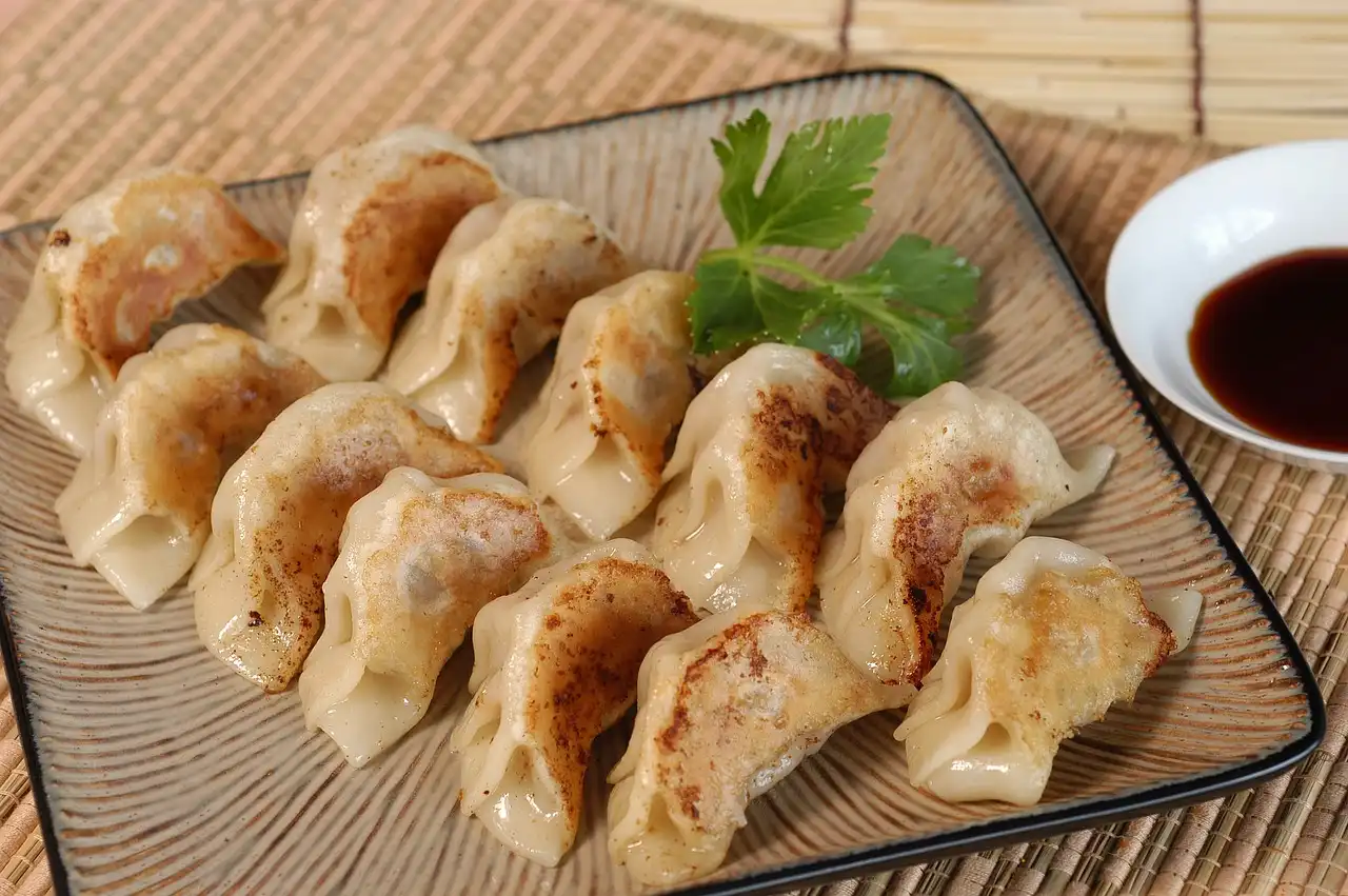 a platter of fried dumplings