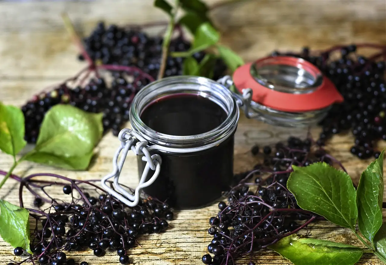 Deep purple elderberry syrup on a table with elderberry clusters