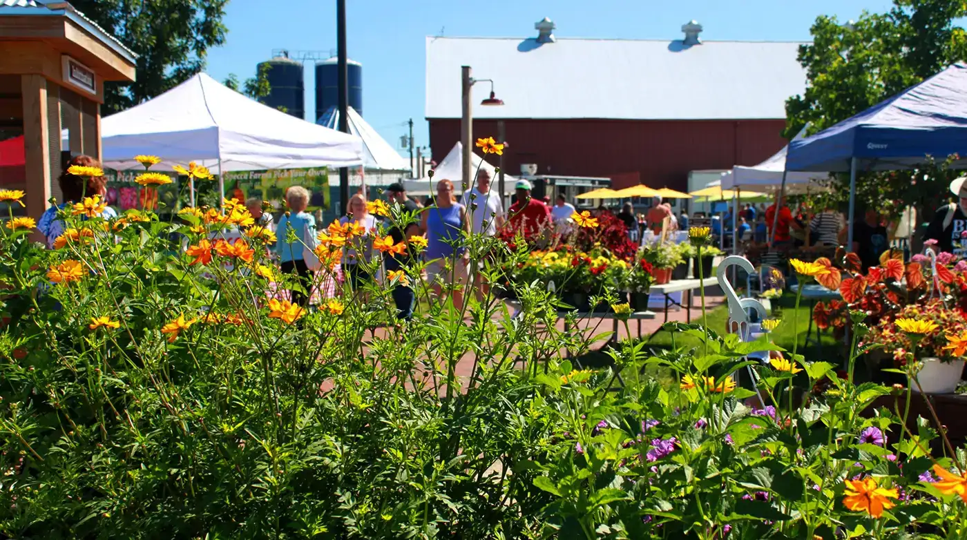 Farmers Market