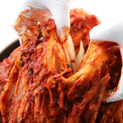 gloved hands with fermented kimchi