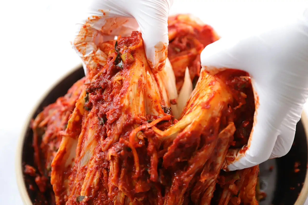 gloved hands with fermented kimchi