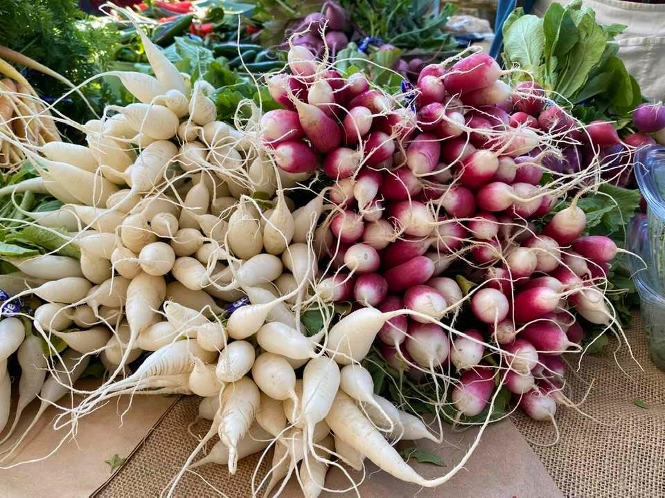 Radishes at the market