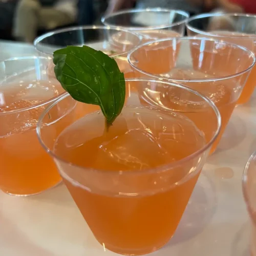 strawberry shrub with mint garnish
