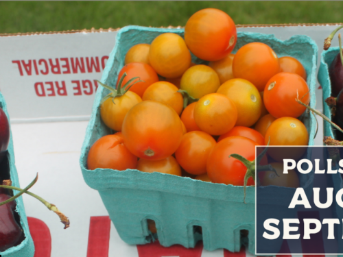 Who’s Your Favorite Farmers Market?