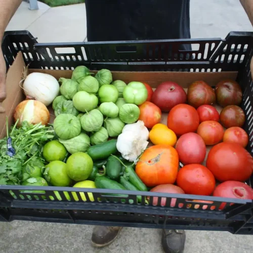 crate of farm fresh vegetables