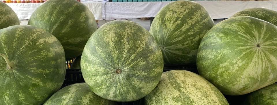 CELEBRATE MELON DAY WITH US - AUG. 1