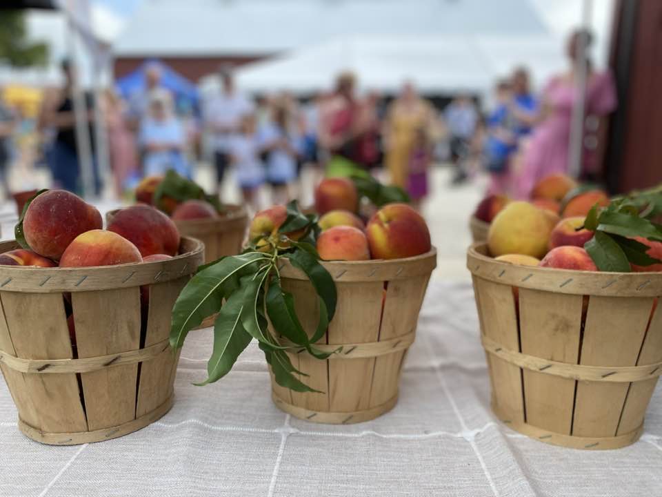 Peachy Party at the Farmers Market! Saturday, Aug 2nd  8:30am-1pm