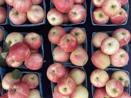 Apple Appreciation Day!
