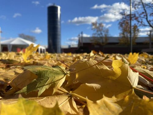 Last Day of the 2025 Season!