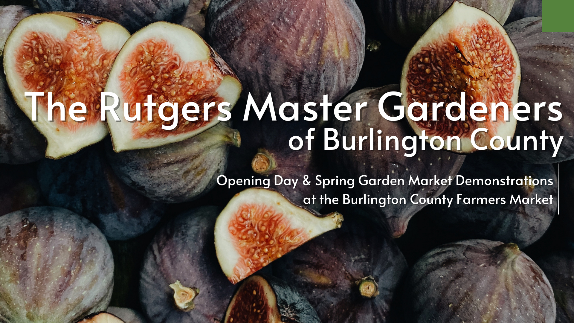 Rutgers Master Gardeners of Burlington County Demos on Opening Day