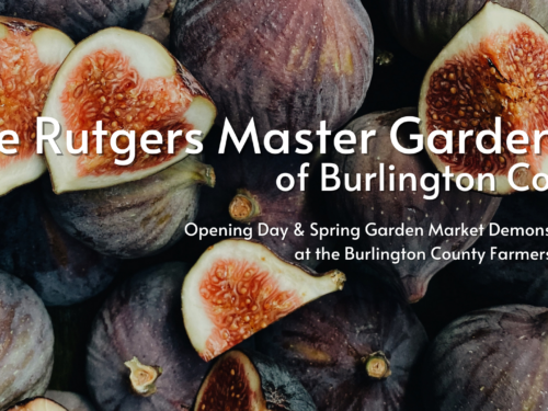 Rutgers Master Gardeners of Burlington County Demos on Opening Day