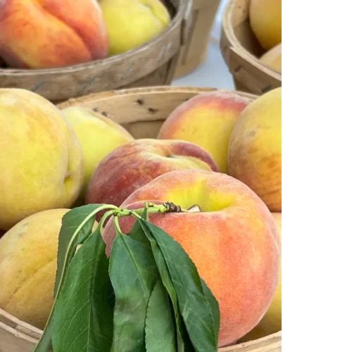 peaches in basket