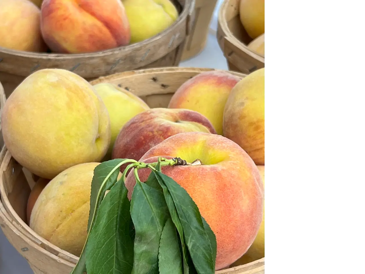 peaches in basket