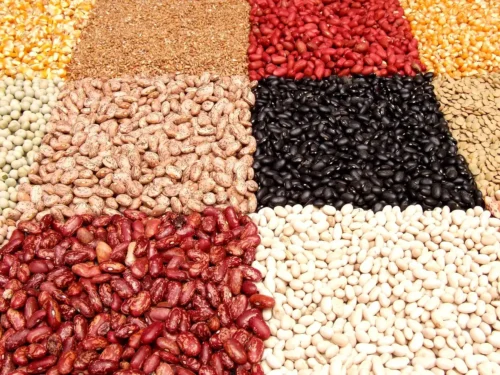 Beans & Legumes: Plant-based Powerhouses