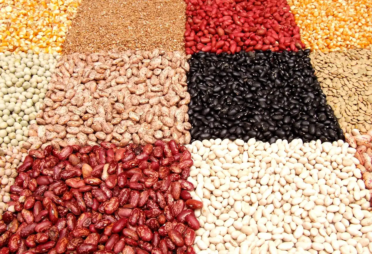 a variety of beans and legumes