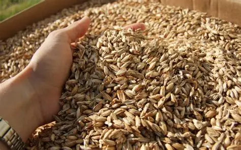 Perfect Farro