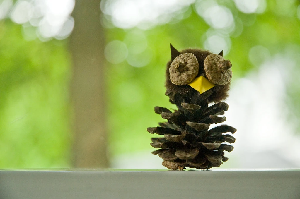 pinecone owl with acorn cap eyes
