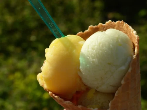 Summer Fruit Sorbet