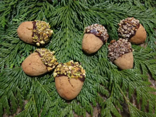 Walnut Acorn Cookies