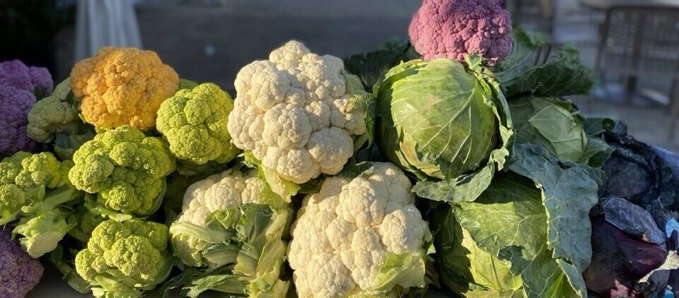 Only 4 More Markets of the 2025 Season!