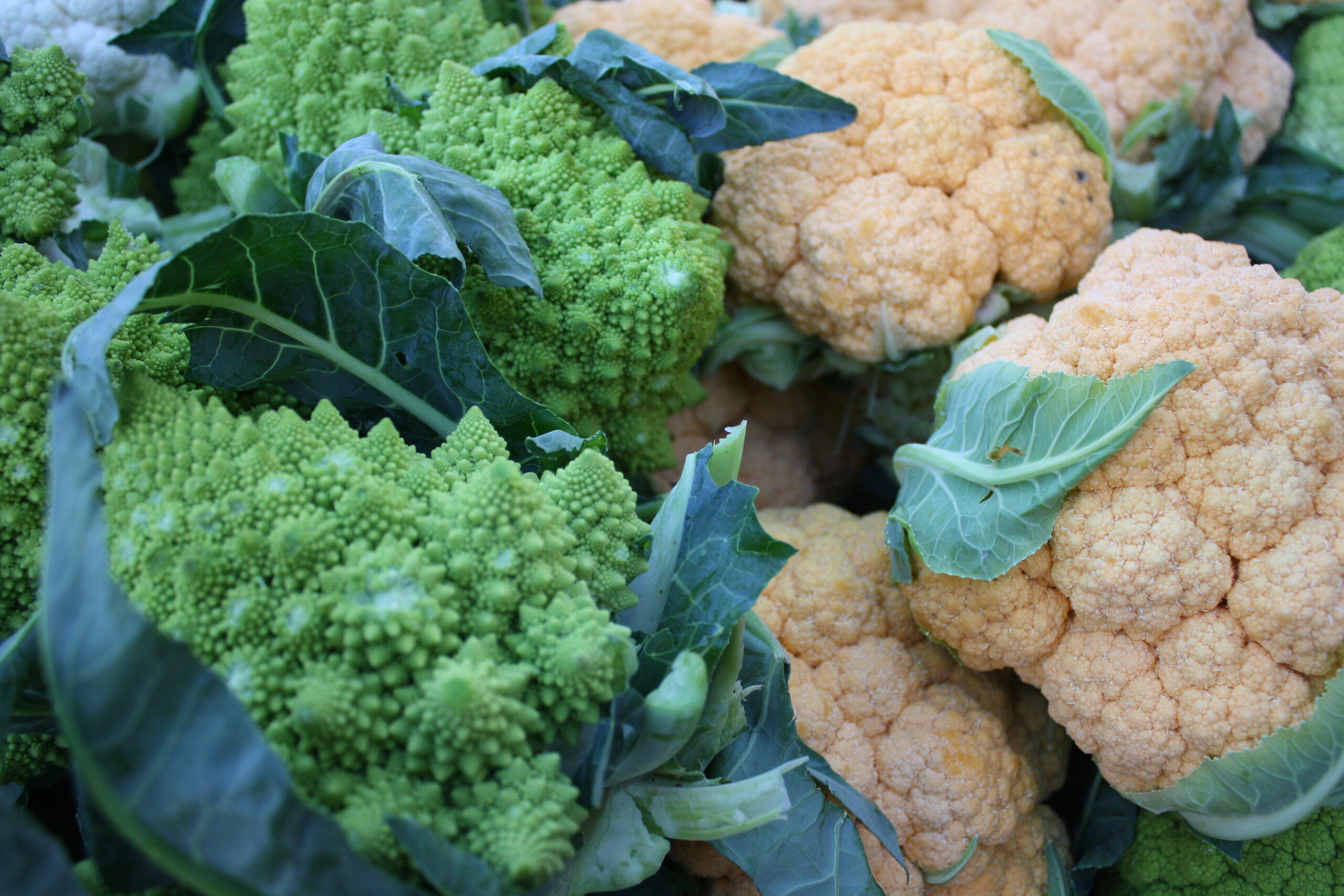 Thank You for Another Great Season! Closing Out 2025