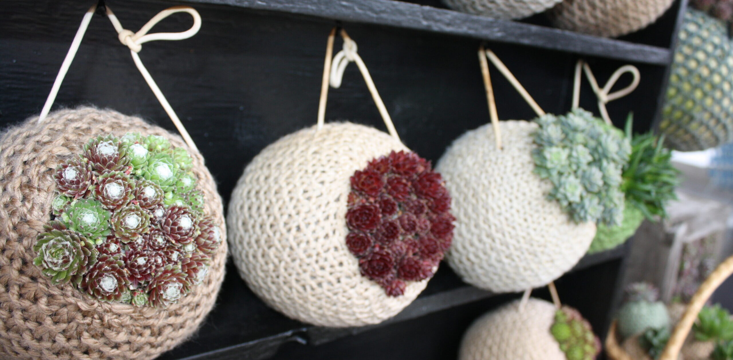 MARKET HOURS FOR THIS SATURDAY (7/4): 8:30-12PM