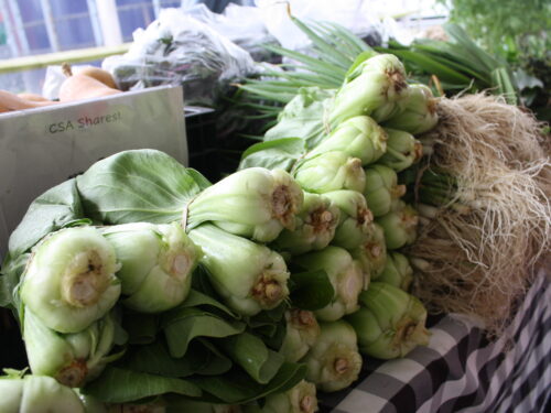 2026 Pre-Season Farmers Markets!