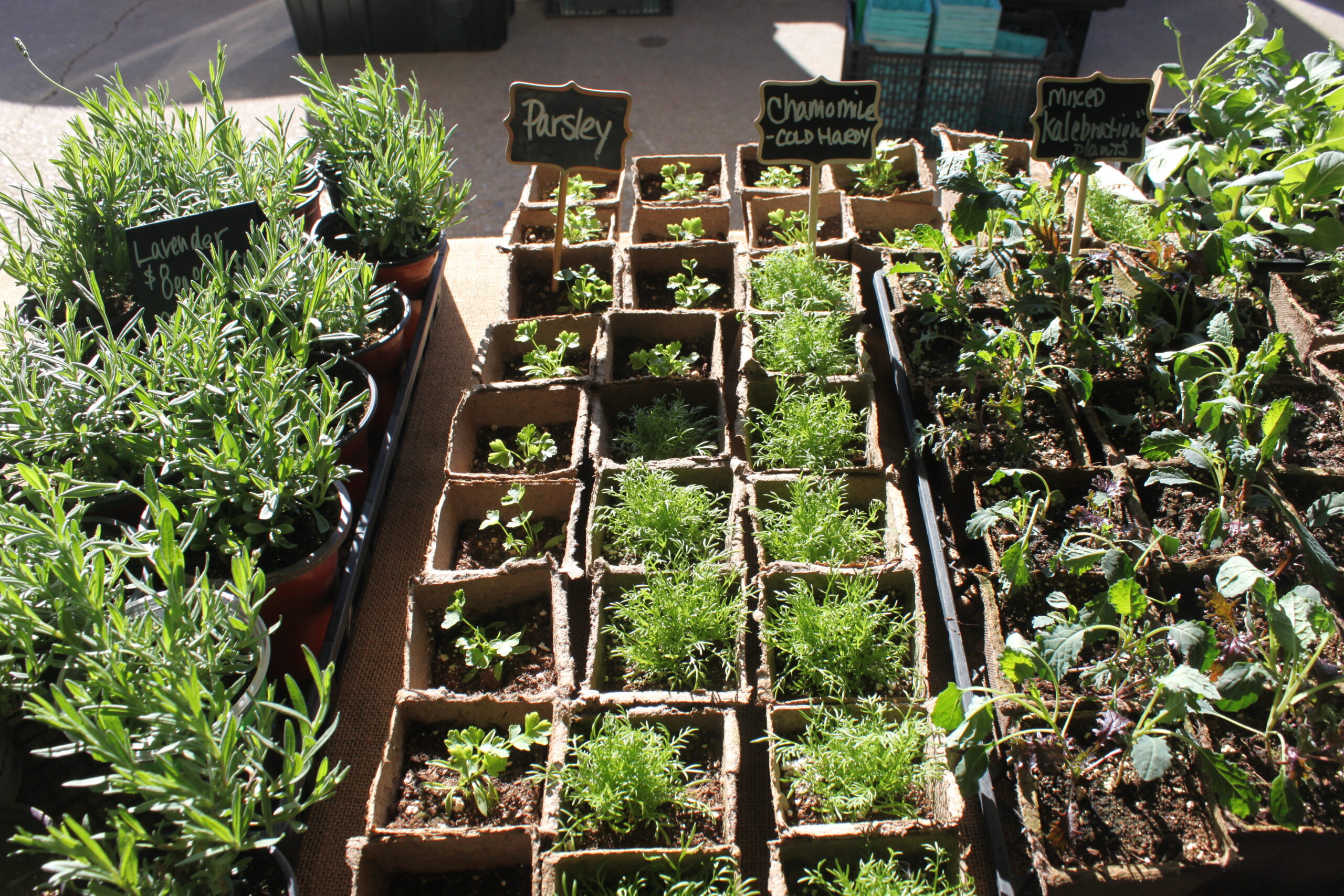 coming up slider item image