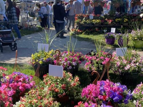 Opening Day & Our 20th Year Anniversary!