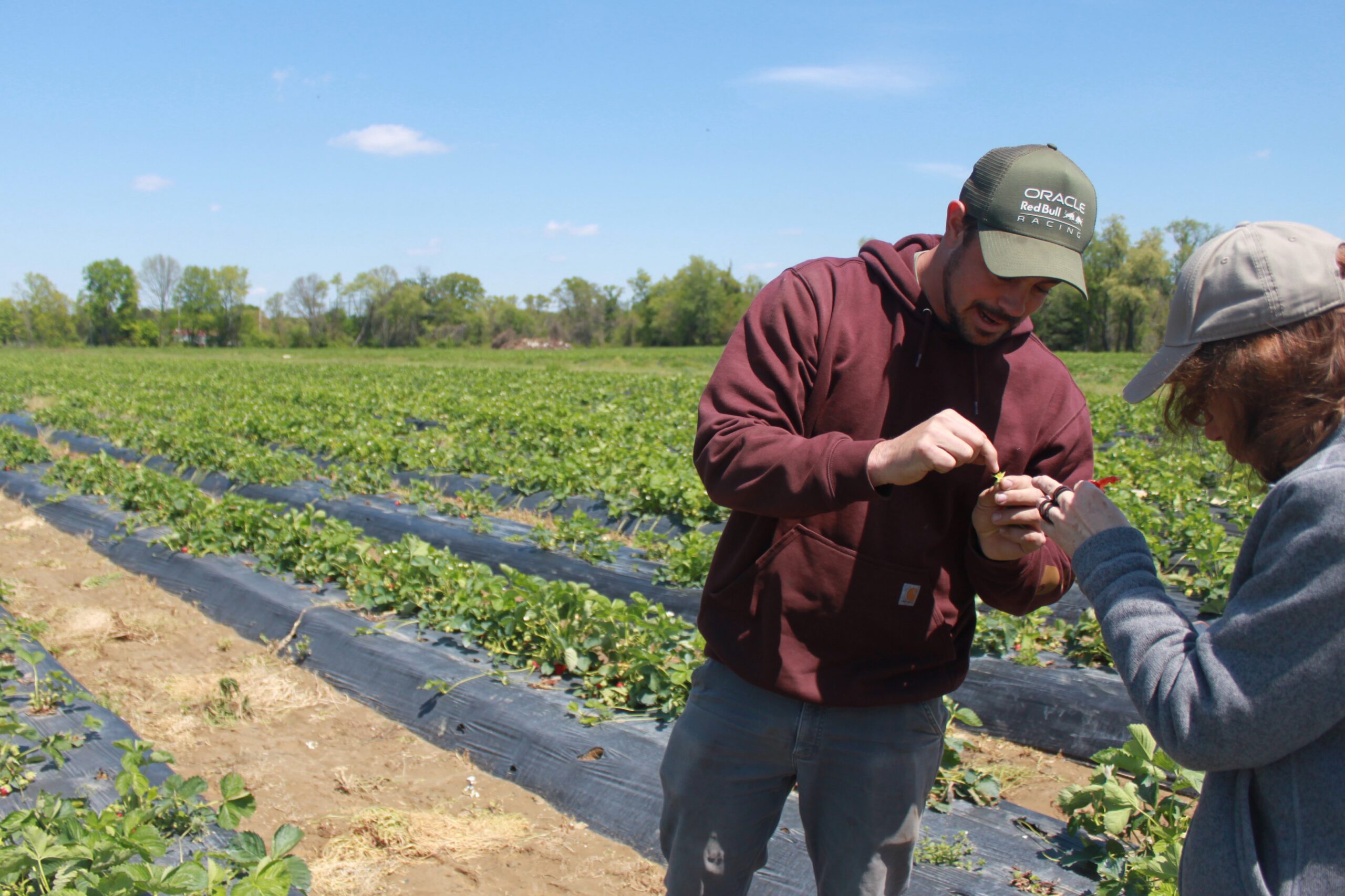 Farm Feature: Stephen Specca Farms