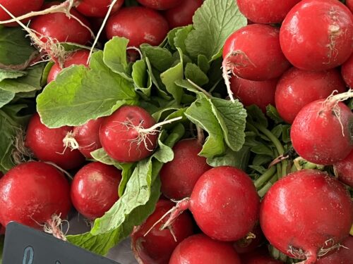 Tumeric Pickled Radishes
