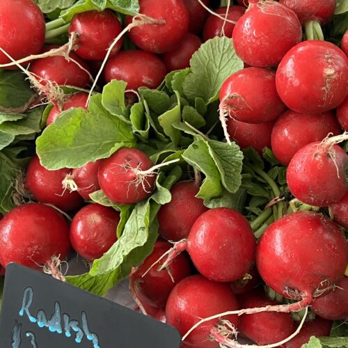 red radishes