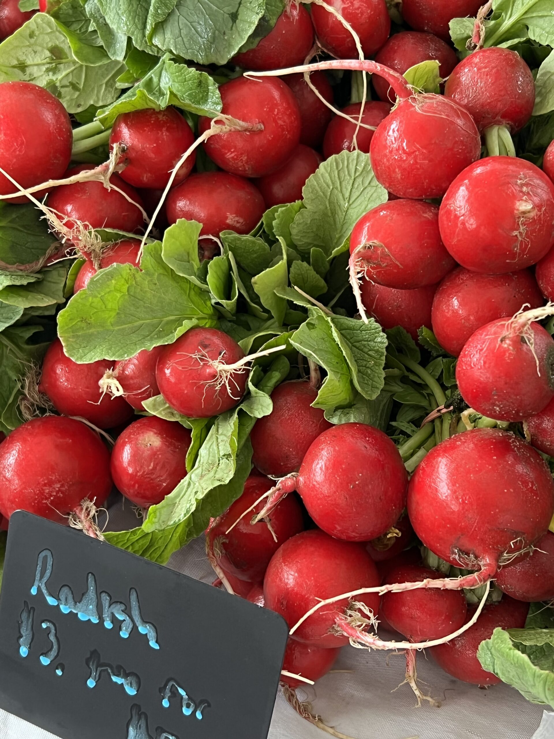 red radishes